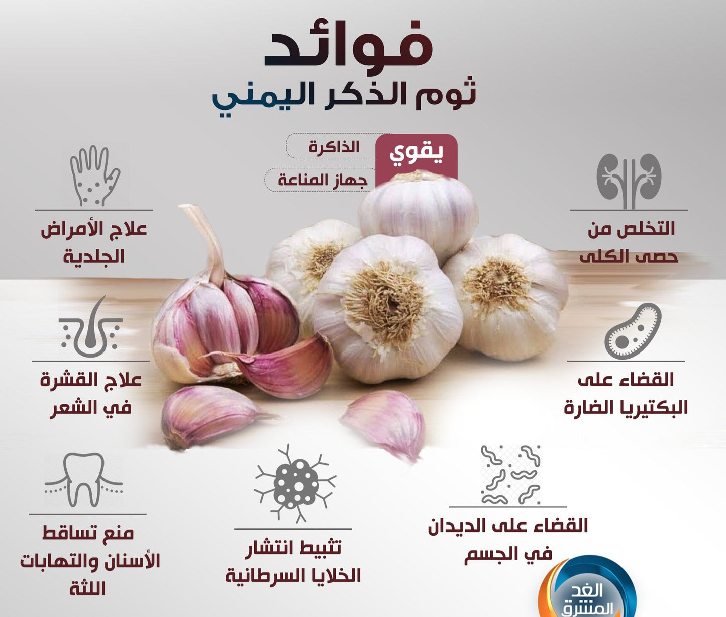 Premium Yemeni Male Garlic ثوم الذكر اليمني