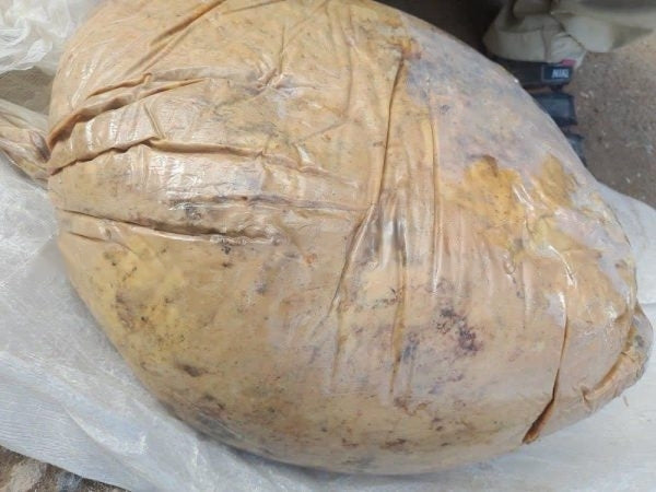 Asafoetida Ferula (Hing) 100% Pure (Used as anti bacterial for tree worms, fungi and harmful insects) حلتيت أو حنتيت (خيل) للزرعة فاخر (الفوائد- يقضي على النيماتدودا والديدان الضارة والفطريات والحشرات الضارة)