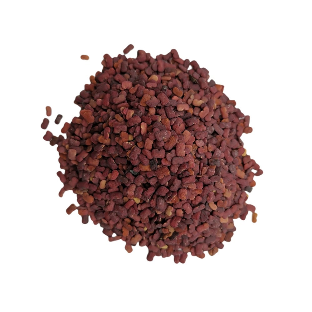 الحلبة البنية حلبة خيل