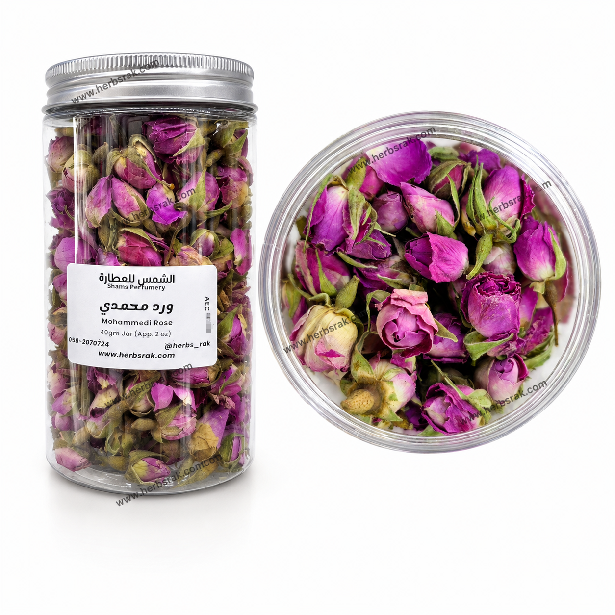 Mohammadi Rose | Damask Rose | Rosa Damascena ورد محمدي