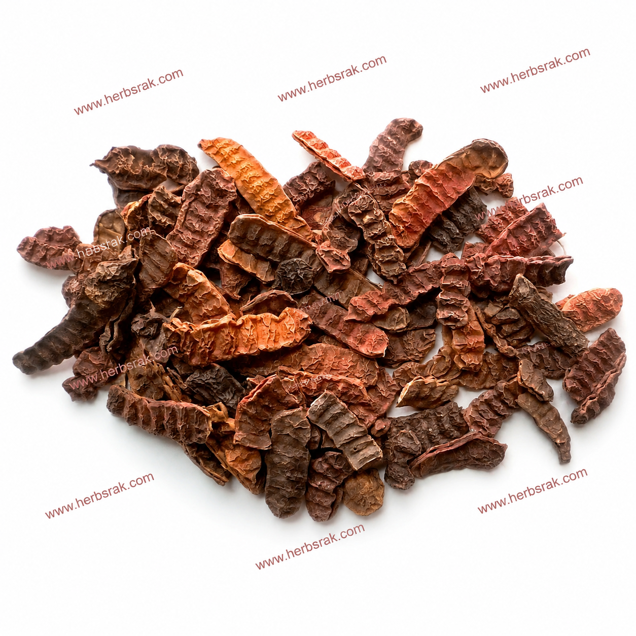 Shikakai | Acacia Concinna عشبة شيكاكاي