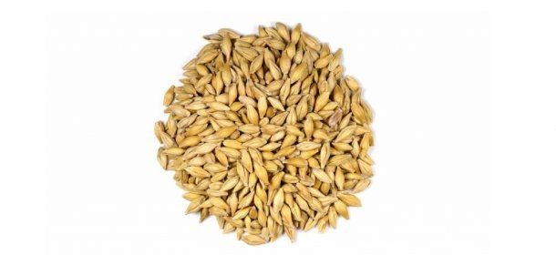 Whole Barley | 25 Ounce  شعير