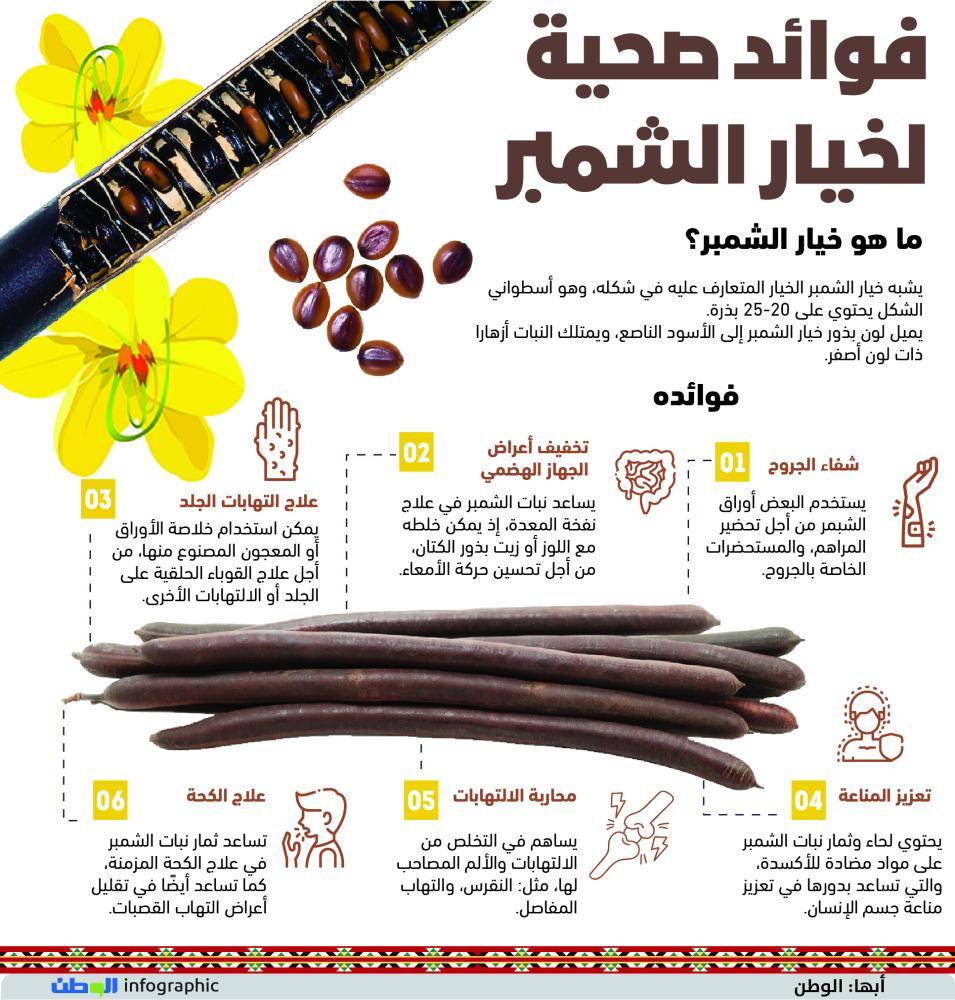 Cassia Fistula (Amaltash Fali) خيار شمبر