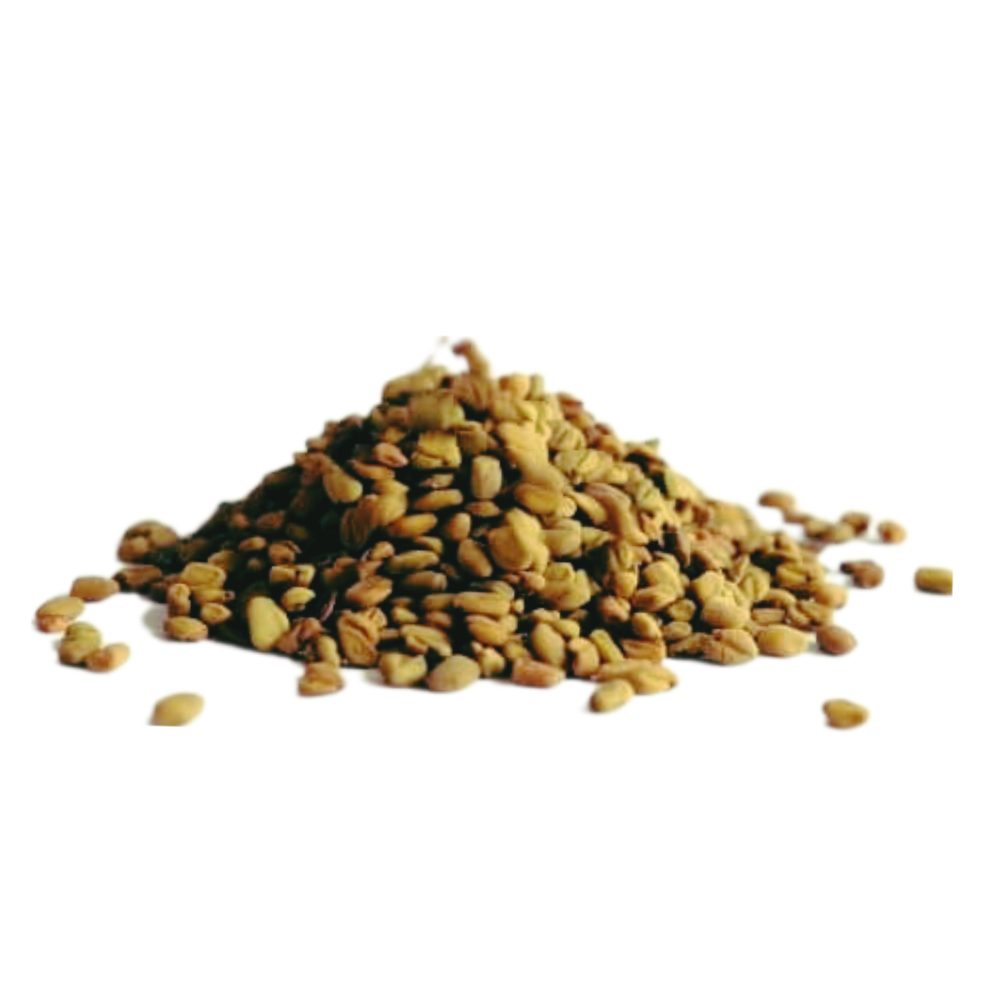 Egyptian Fenugreek حلبة مصري