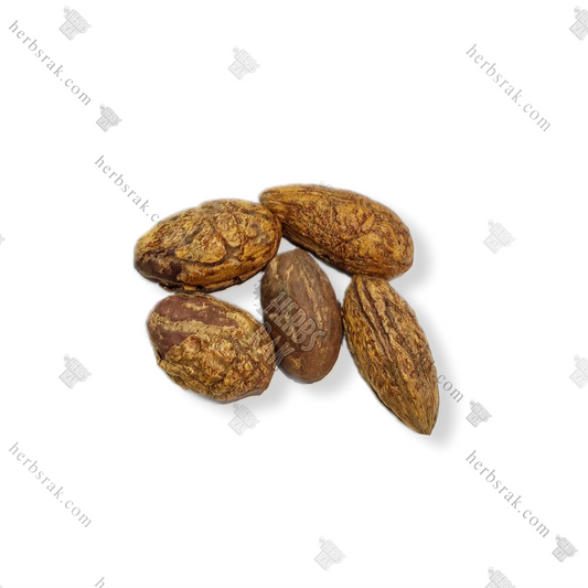 Peony Root Moroccon (Oud Saleeb, Saleeb Root) عود صليب مغربي