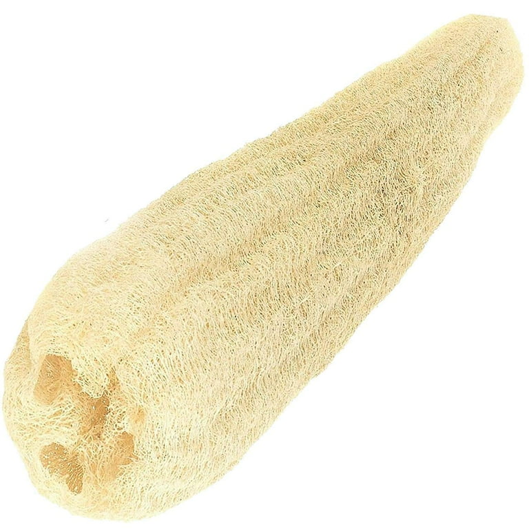 Egyptian Loofah (4 Pieces) Luffa Scrubber Sponge 100% Natural Organic - SPA Beauty Bath Remove Dead Skin Body Luxurious Premium for exfoliating Your Skin | ليف مصري