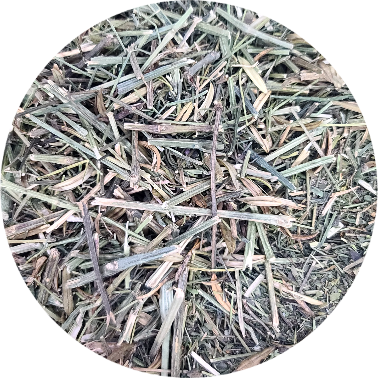 Ephedra sinica | عشبة العلندا