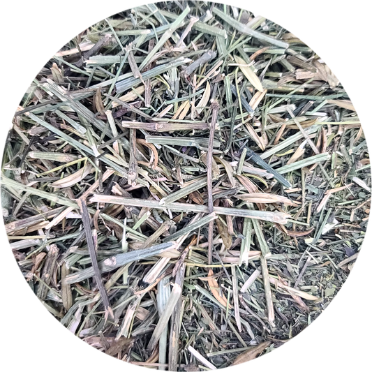 Ephedra sinica | عشبة العلندا