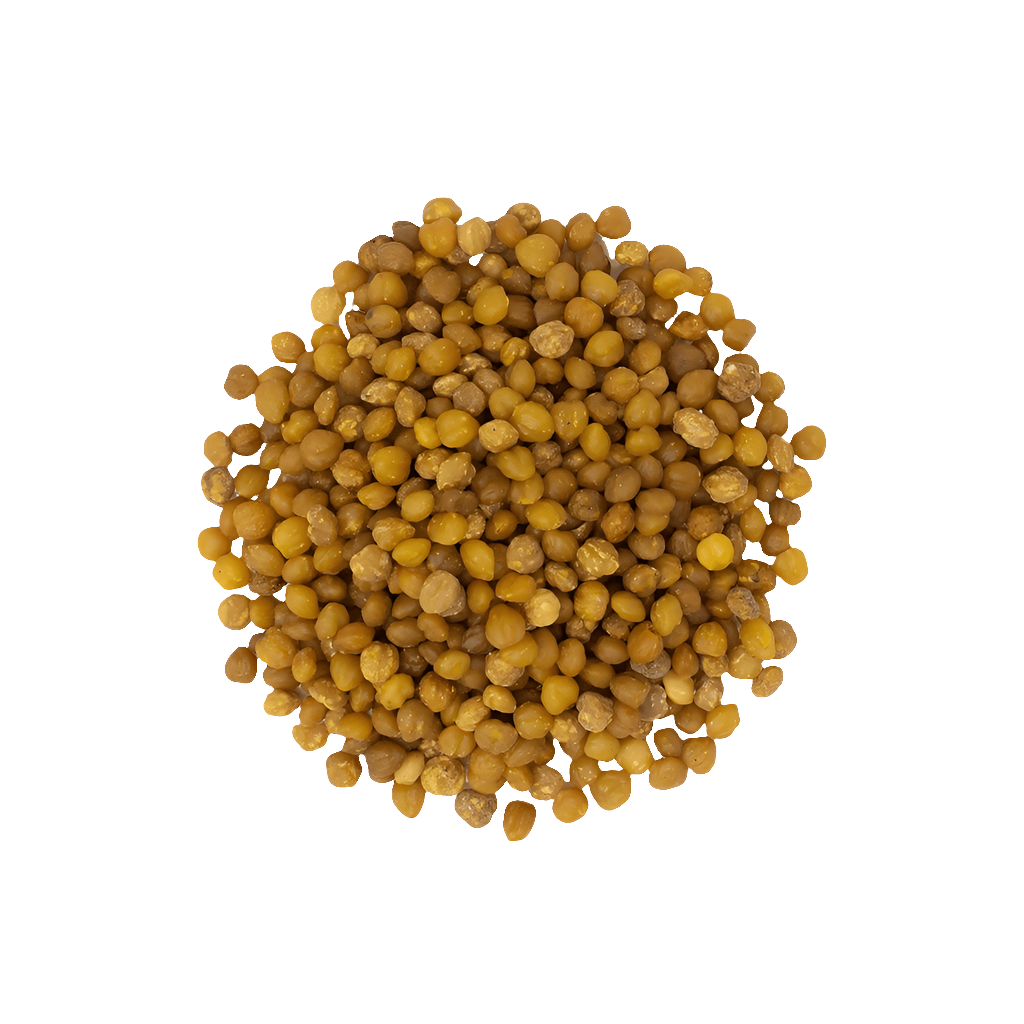 Apki Seeds 500g بذور الأكبي الأفريقية لزيادة الوزن