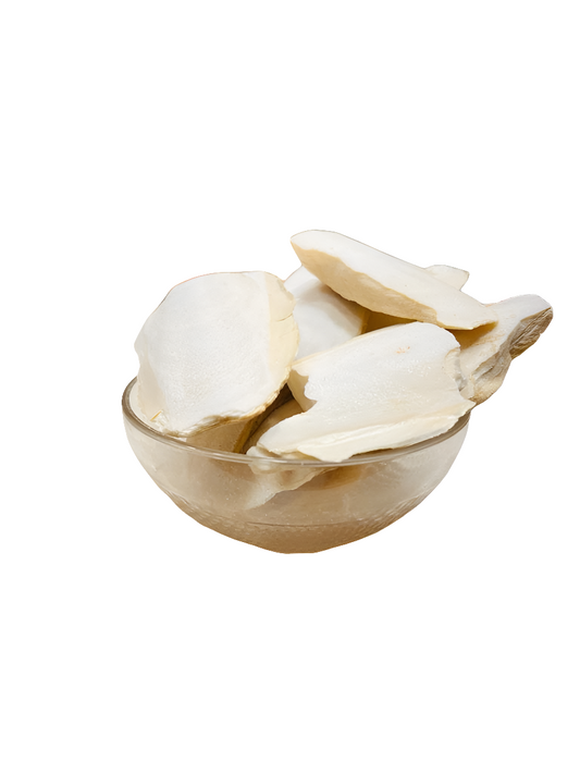 Sea Foam (Samandar Jhag) زبد البحر أو لسان البحر