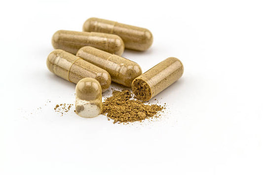 Costus Root Capsules 100 Capsules كبسولات قسط الهندي