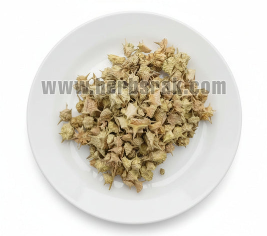 Puncture Vine | Goathead Herb | Tribulus Terrestris Herb عشبة حسك أو حسكة