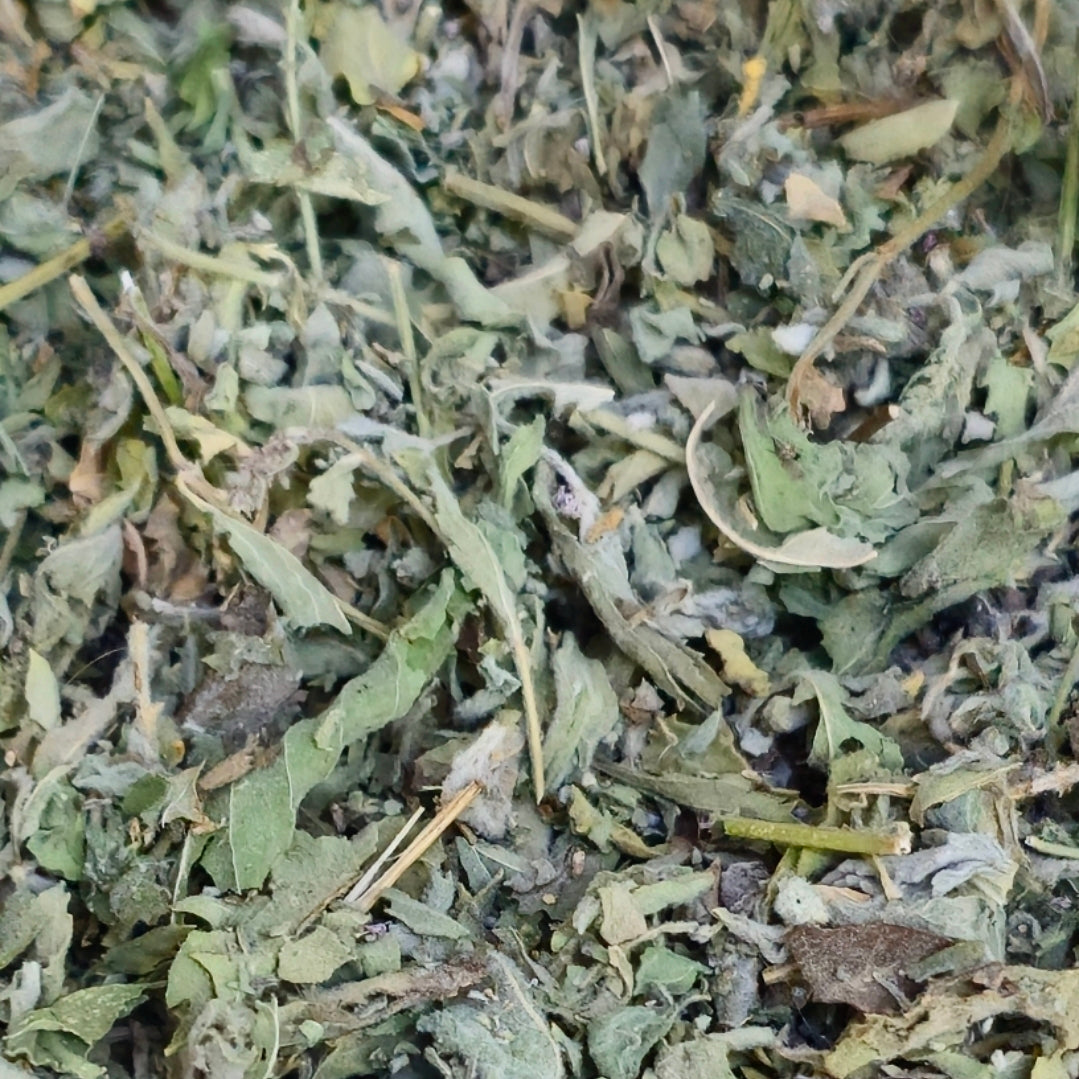 Futan Leaf | Fowtan | Dried Mountains Mint ورق الفوطن