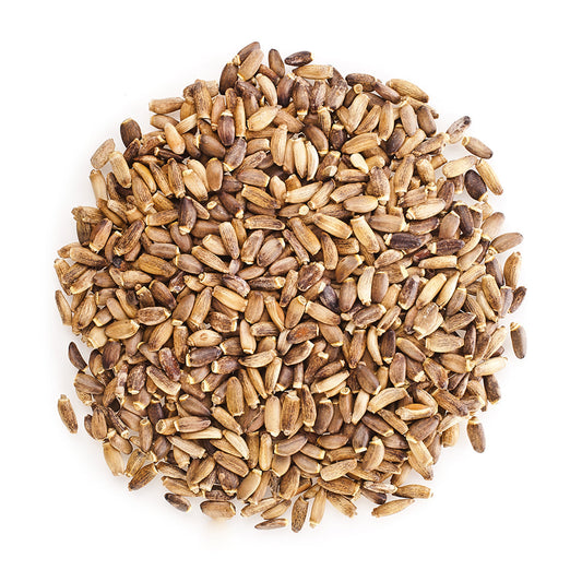 Milk Thistle Seeds (Silybum marianum) بذر حليب شوك