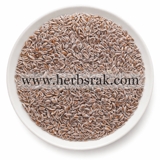 Psyllium Seeds بذور القطونة