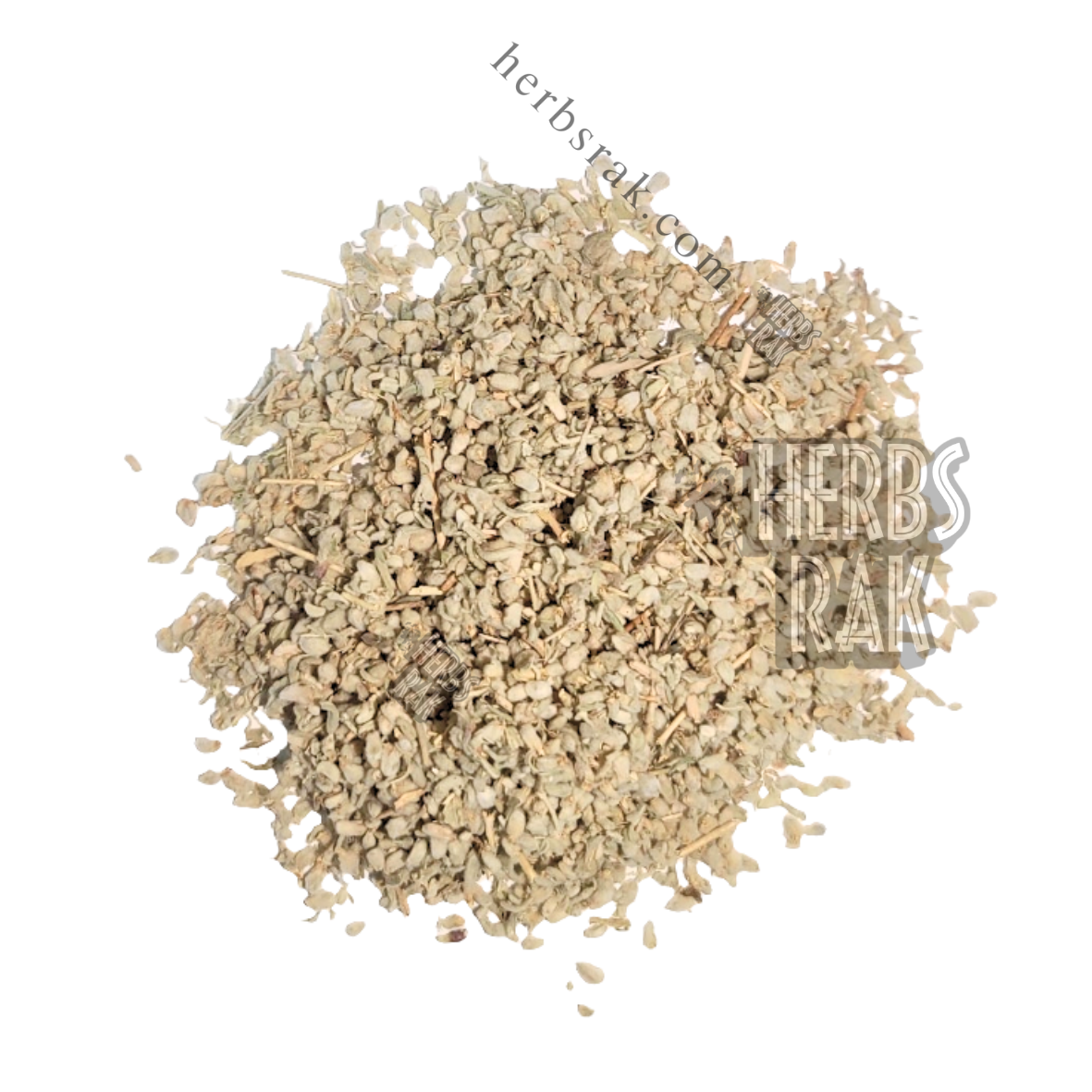 Teucrium (Germanders) عشبة الجعدة (يعدة)