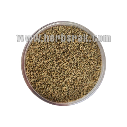 Khella Seeds | Ammi Visnaga Seeds بذور خلة